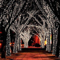 Outdoor Solar String Lights with 100 LED Fairy Garden Landscape Lighting with Adjustable Panel - Image 1