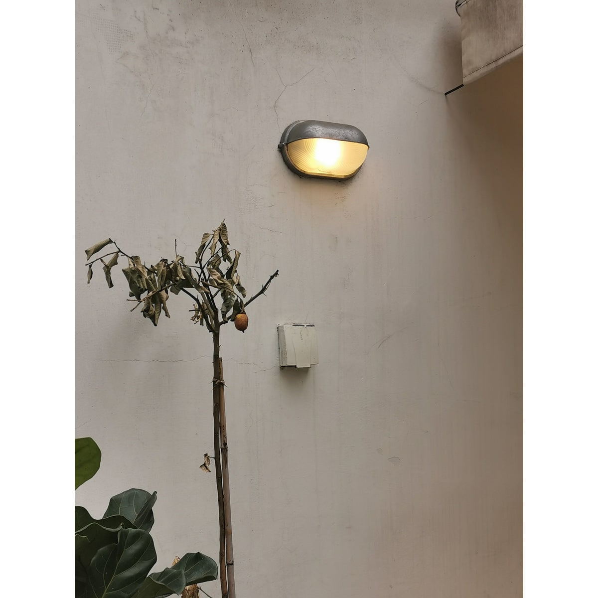 Outdoor Wall Light Bulkhead with Ribbed Glass Eyelid Hood Weather-Resistant - Image 17
