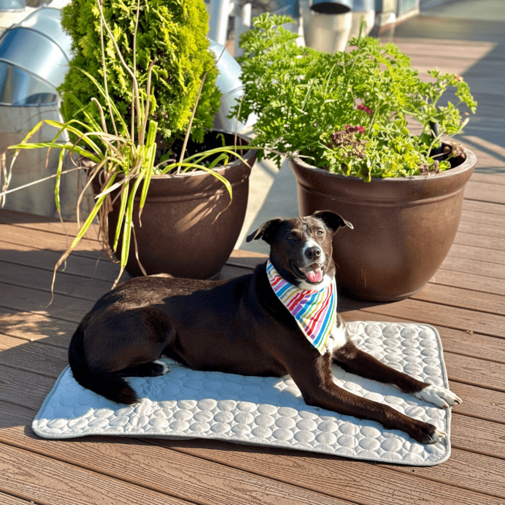 Tappetino rinfrescante per cani e gatti