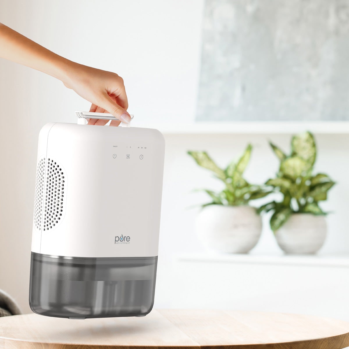 Portable Dehumidifier for Basement and Crawl Space with Drain Hose and 2-Speed Timer - Image 5