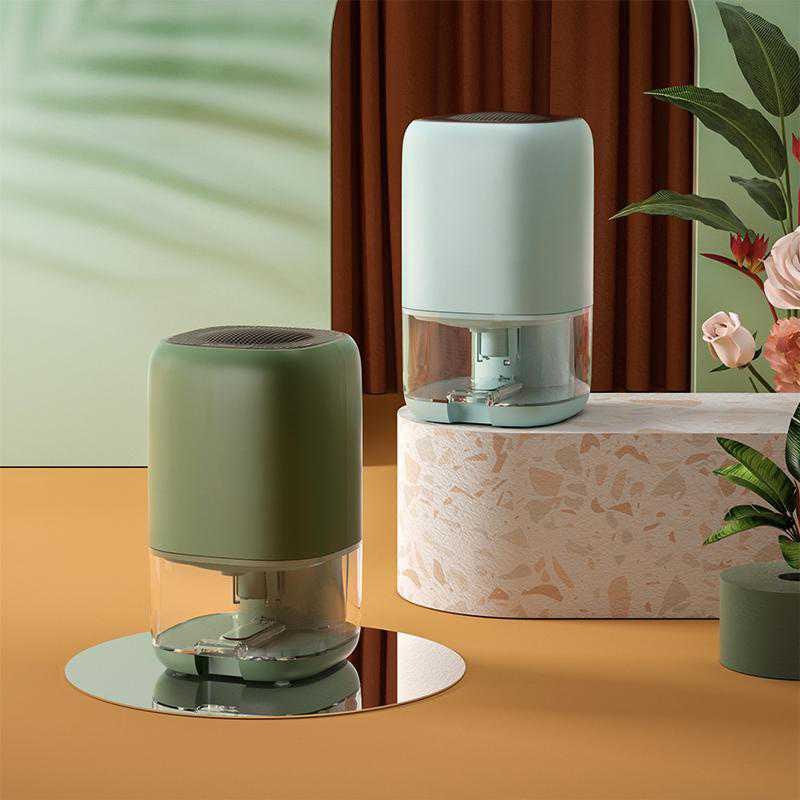 Portable Mini Dehumidifier for Basement Crawl Space Closet and Bathroom with Clear Water Tank - Image 1