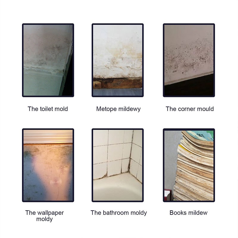 Professional Mold Remover and Mildew Spray with Fast-Acting Stain Killer Formula - Image 3