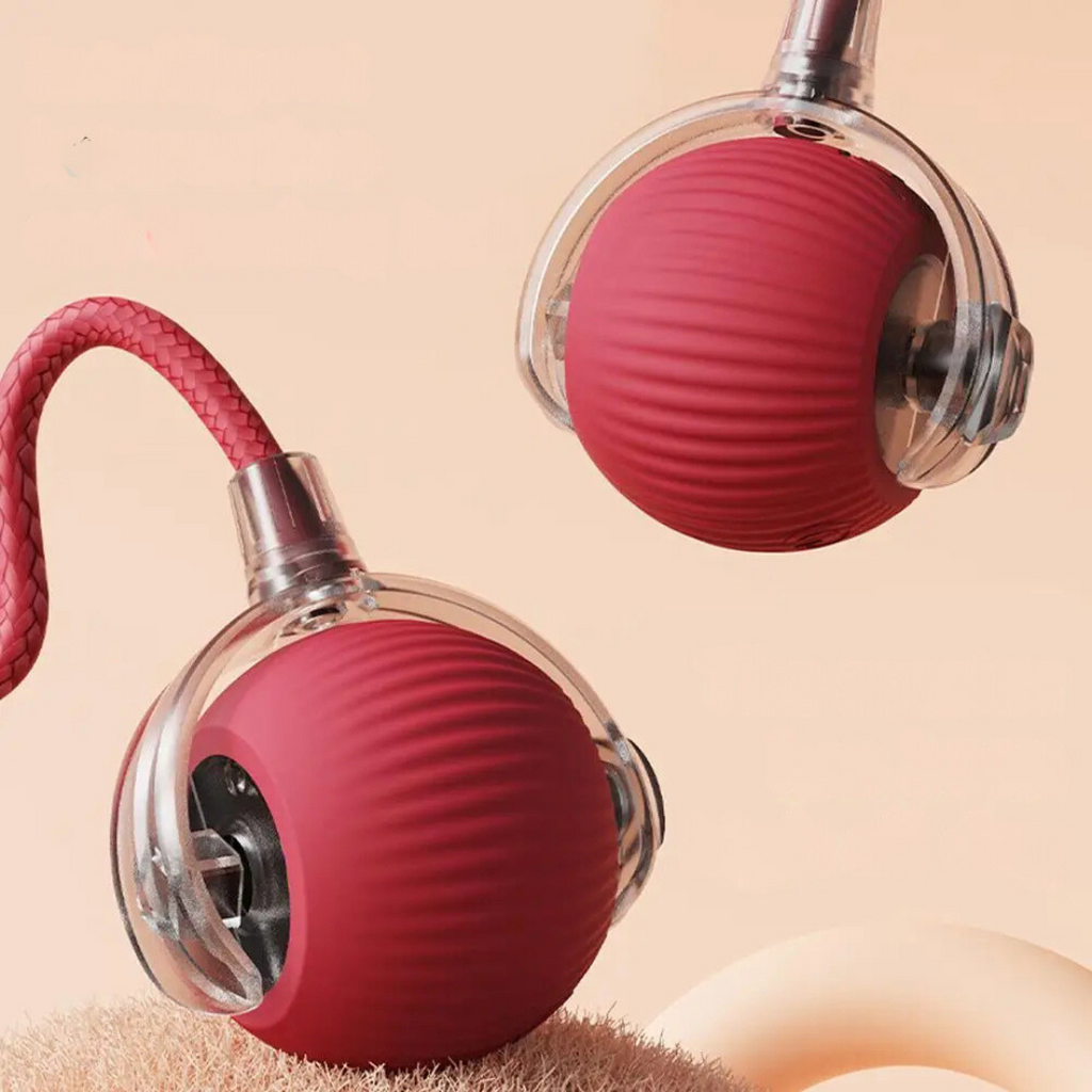 Rechargeable Cat Play Toy with Rolling Action