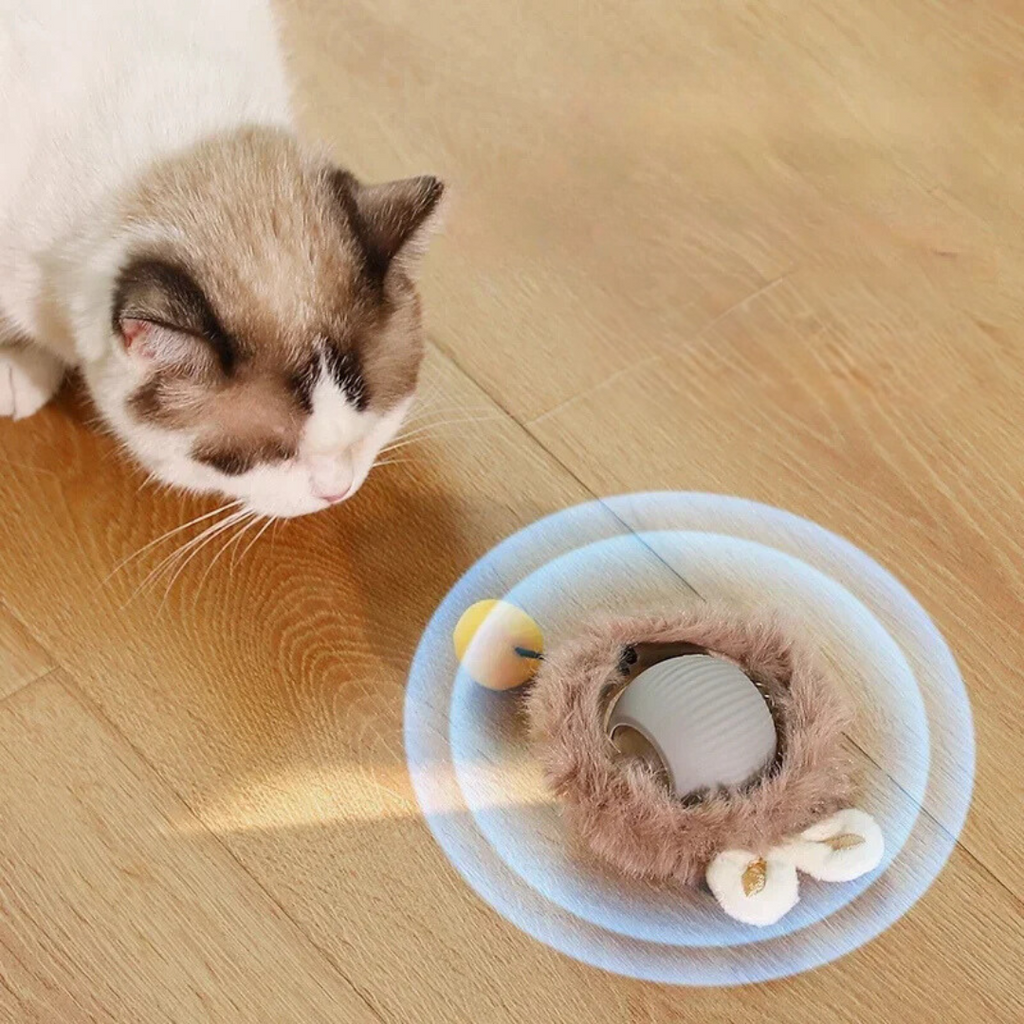 Rechargeable Cat Play Toy with Rolling Action