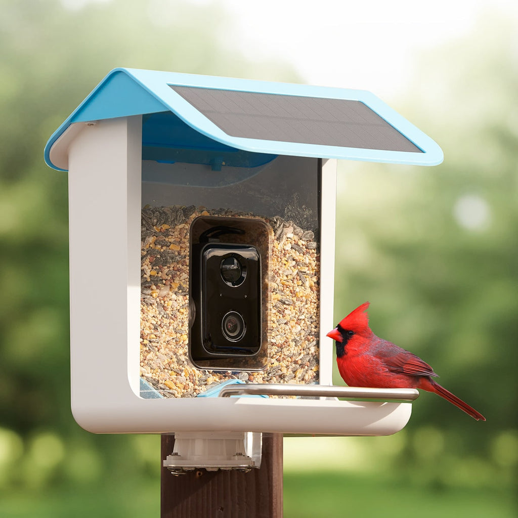Smart Bird Feeder Camera Solar Powered WIFI Waterproof Outdoor With Video - Image 3