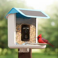 Smart Bird Feeder Camera Solar Powered WIFI Waterproof Outdoor With Video - Image 3