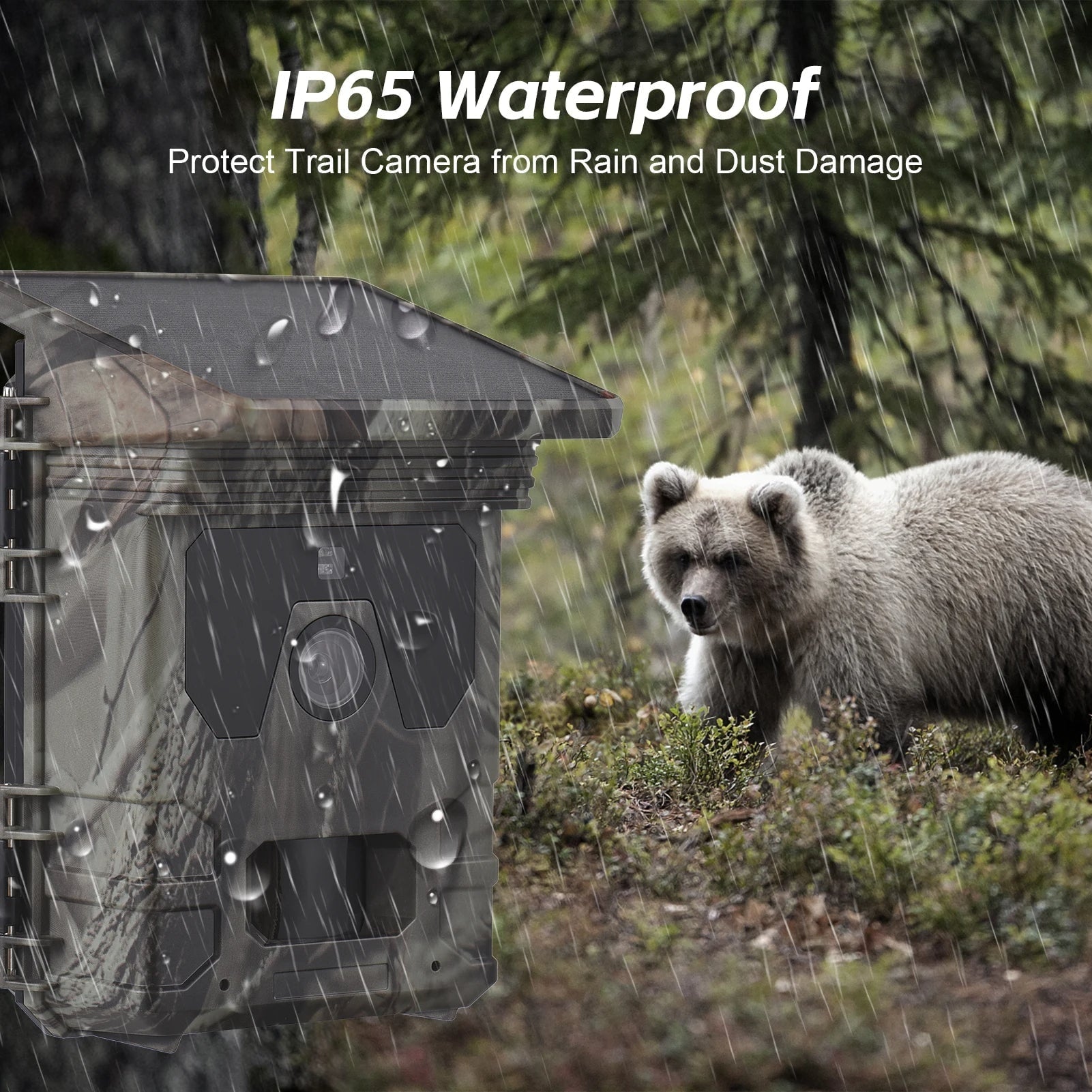 Solar Powered Cell Trail Camera with Night Vision Motion Sensor and Sd Card Slot - Image 5