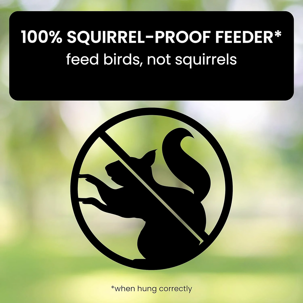 Squirrel Proof Bird Feeder with Weight Activated Spinning Perch and Anti Guard - Image 2