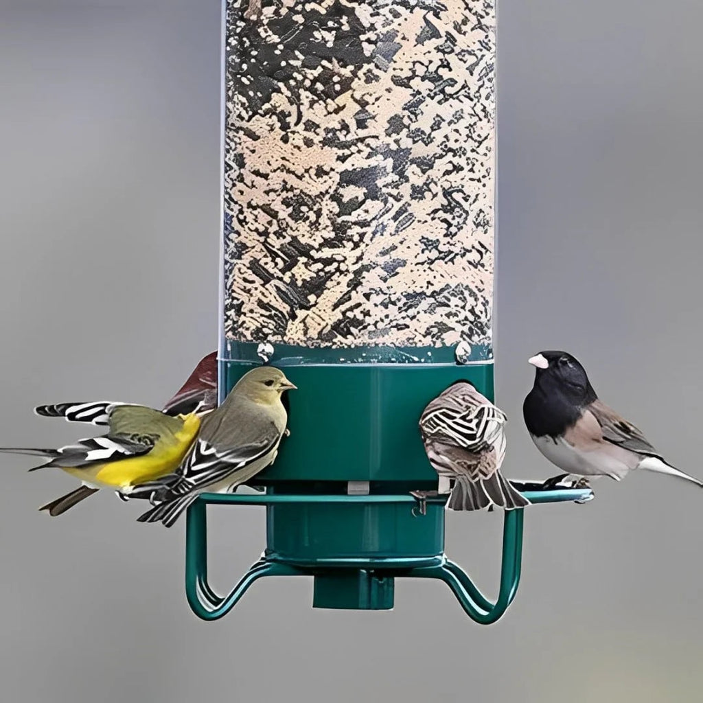 Squirrel Proof Bird Feeder with Weight Activated Spinning Perch and Anti Guard - Image 5