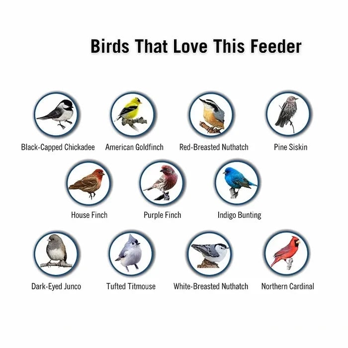 Squirrel Proof Bird Feeder with Weight Activated Spinning Perch and Anti Guard - Image 6