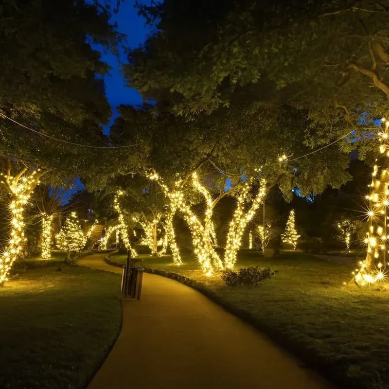 String Lights Fairy with Flexible Copper Wire Micro LED Beads Battery Powered Outdoor Christmas - Image 11