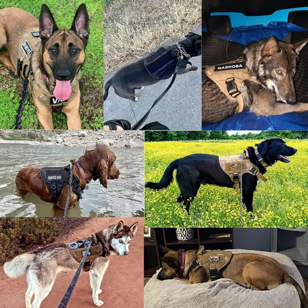 Tactical Dog Harness Vest with Control Handle and Front Clip for Training - Image 6
