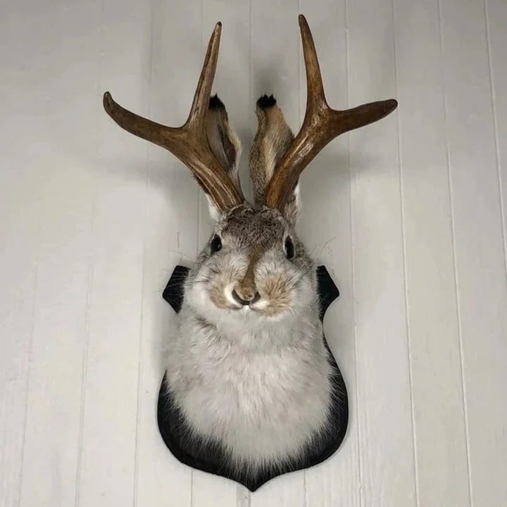 Taxidermy Jackalope Wall Mount on Wooden Plaque - Image 1