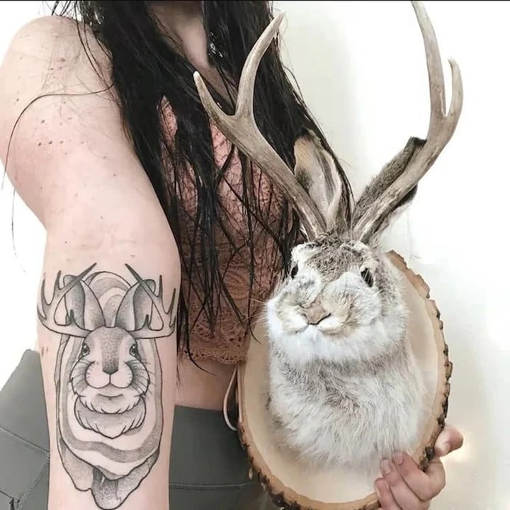 Taxidermy Jackalope Wall Mount on Wooden Plaque - Image 3
