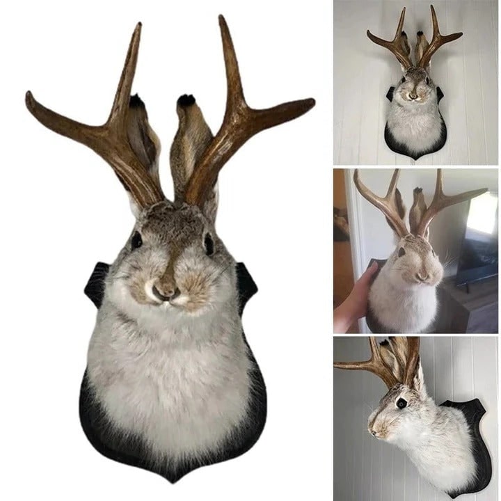 Taxidermy Jackalope Wall Mount on Wooden Plaque - Image 4