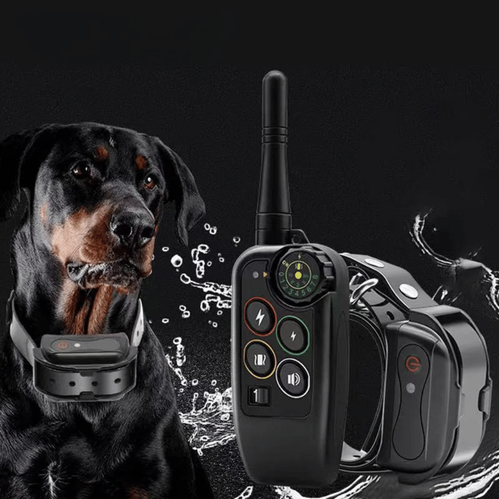 Waterproof Dog Training Collar and Shock with Remote Control and E-Collar Receiver E - Image 2