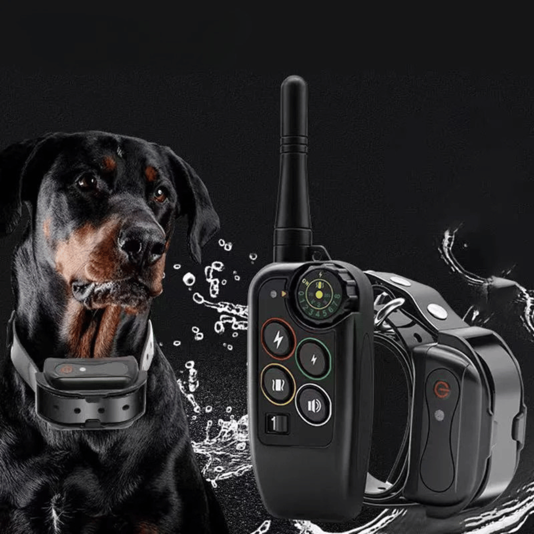 Waterproof Dog Training Collar and Shock with Remote Control and E-Collar Receiver E - Image 2
