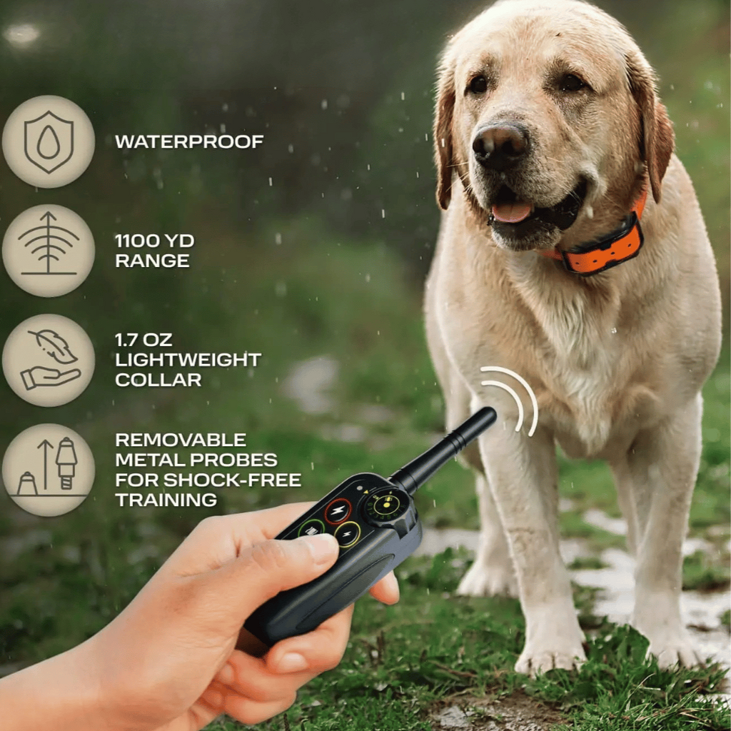 Waterproof Dog Training Collar and Shock with Remote Control and E-Collar Receiver E - Image 5