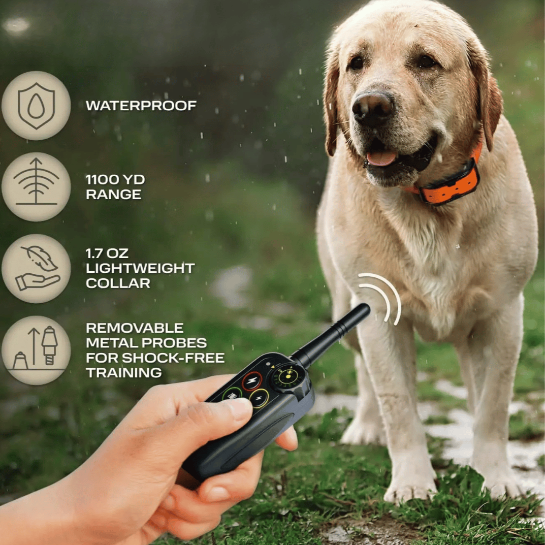 Waterproof Dog Training Collar and Shock with Remote Control and E-Collar Receiver E - Image 5